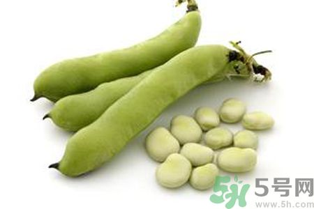寶寶可以吃蠶豆嗎？寶寶多大可以吃蠶豆？