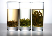 茯苓和苦丁茶能一起泡嗎？茯苓可以和苦丁茶一起喝嗎？
