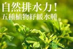 南瓜去水腫嗎？南瓜能消腫嗎？