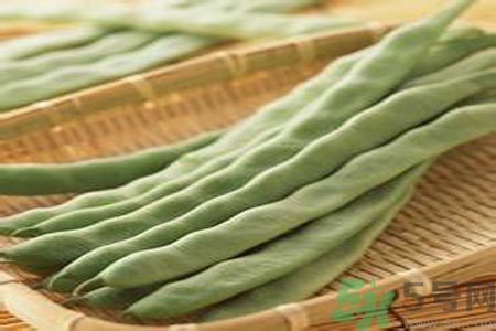 四季豆是發(fā)物嗎？四季豆是不是發(fā)物？