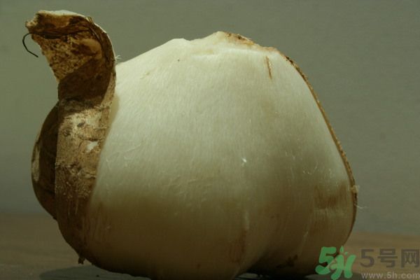 涼薯吃多了好嗎？地瓜吃多了會上火嗎？