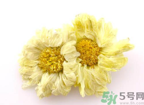 菊花晶能喝綠豆湯一起喝嗎？菊花晶和綠豆湯可以一起喝嗎？