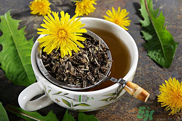 蒲公英泡茶有什么功效？蒲公英泡茶的功效是什么？