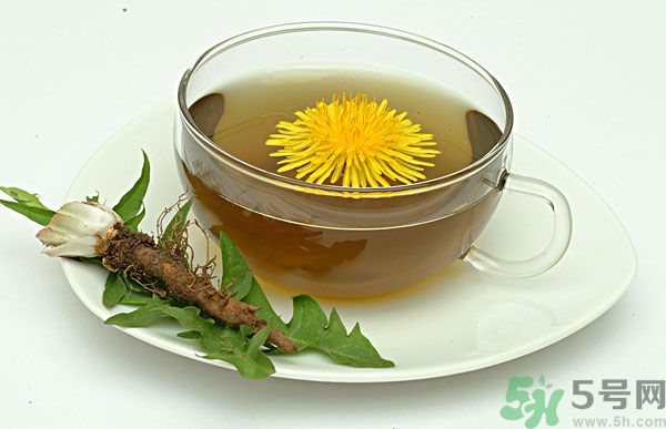 蒲公英根泡茶好還是蒲公英葉泡茶好？蒲公英根和葉哪個效果好？