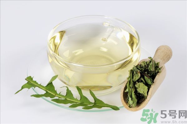 蒲公英泡水喝有副作用嗎？蒲公英泡水喝要注意什么？