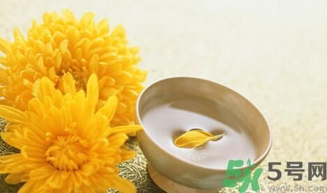 蒲公英可以祛痘嗎？蒲公英怎樣可以祛痘？
