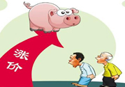 豬肉價格為什么驚動世界？豬肉價格一直上漲的原因是什么？