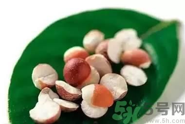 夏天吃芡實好嗎？夏天吃芡實有什么好處？