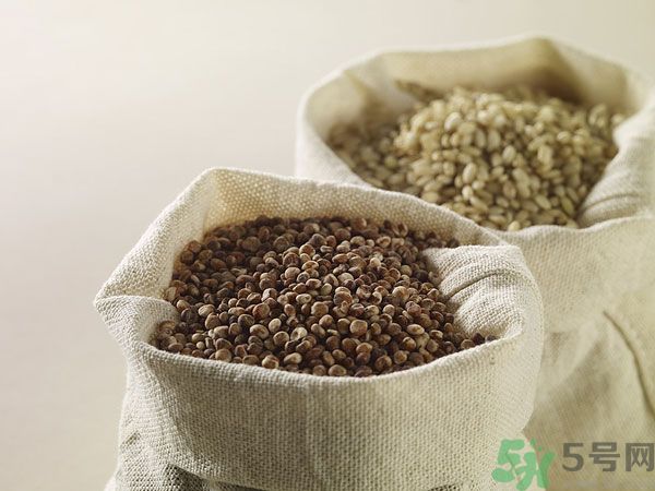 夏天吃高粱好嗎?夏天吃高粱有什么好處? 夏天吃高粱好嗎?夏天吃高粱有什么好處?
