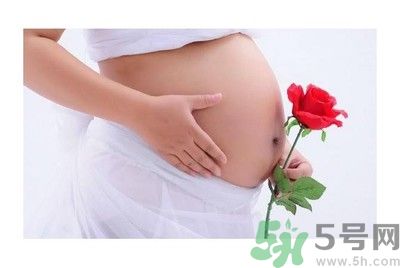陜西最美媽媽是誰？陜西最美媽媽當街哺乳被棄女嬰是怎么回事？
