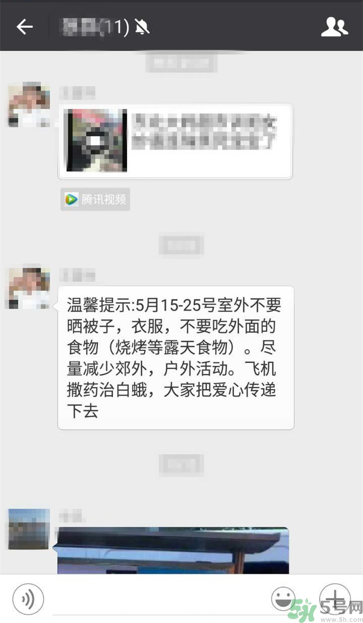 為什么15-25號不要曬被子？什么是美國白蛾？