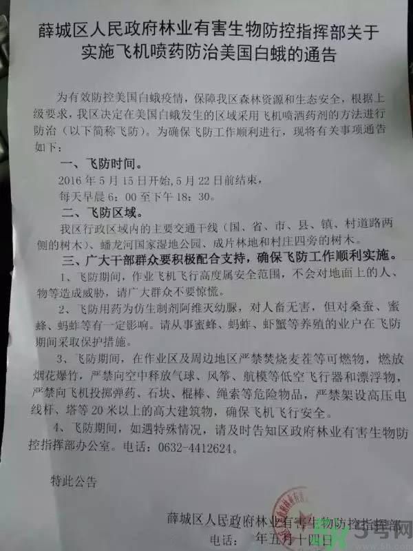 為什么15-25號不要曬被子？什么是美國白蛾？