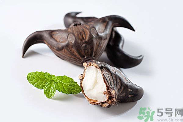菱角是涼性的嗎？菱角是涼性還是熱性的？