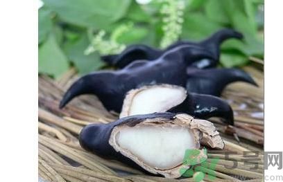 菱角怎么剝完整？菱角剝不開怎么辦？