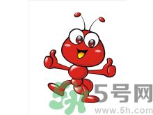 家里有螞蟻怎么辦？驅除螞蟻的方法是什么？