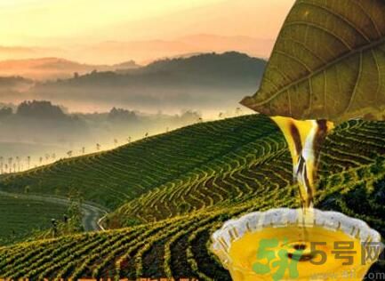 茶籽油可以天天吃嗎？可以每天用茶籽油炒菜嗎？