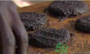 蚊子可以吃嗎？吃蚊子會(huì)怎么樣？