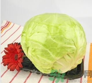 包菜可以生吃嗎？包菜可以涼拌嗎？