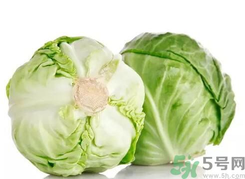 包菜根可以吃嗎？包菜根能不能吃？