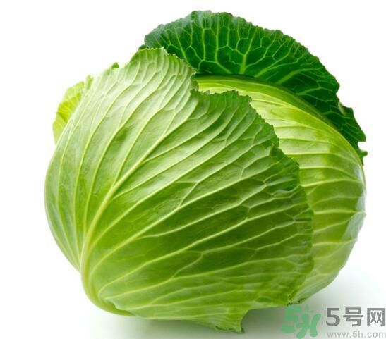 包菜可以放冰箱嗎？包菜怎么保存？