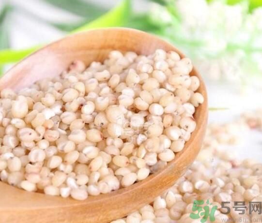 高粱米是發(fā)物嗎？高粱米是不是發(fā)物？