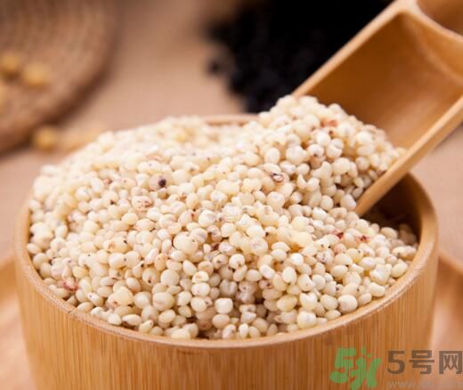 高粱米是發(fā)物嗎？高粱米是不是發(fā)物？