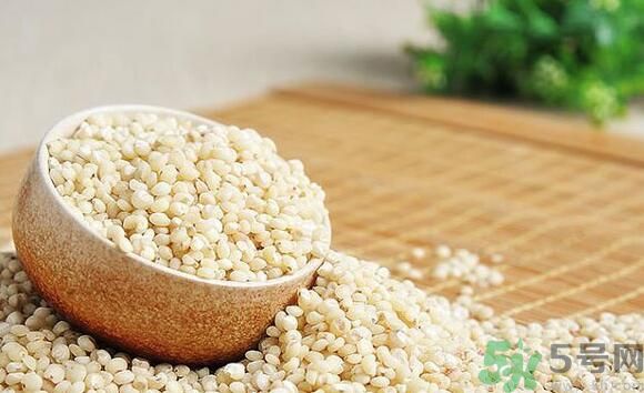 吃高粱米能減肥嗎？吃高粱米有減肥作用嗎？