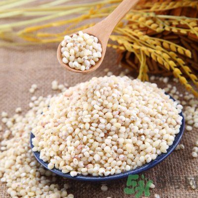 高粱米能做飯嗎？高粱米做飯好嗎？