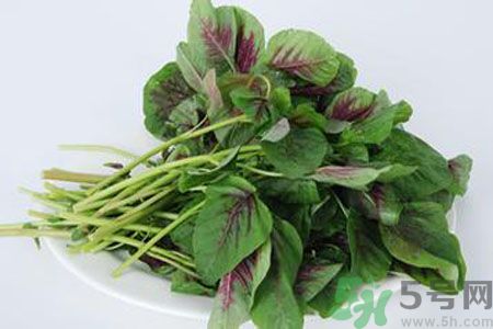漢菜是熱性還是涼性？漢菜是涼性的嗎？
