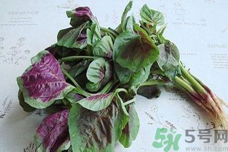 寶寶可以吃漢菜嗎？寶寶吃漢菜好嗎？