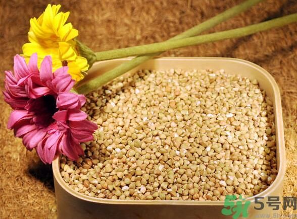蕎麥?zhǔn)前l(fā)物嗎？蕎麥?zhǔn)遣皇前l(fā)物？