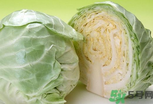 包菜是發物嗎?包菜是不是發物?