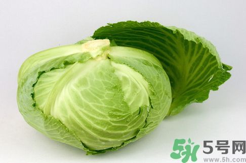 包菜是發物嗎?包菜是不是發物?