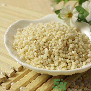 蕎麥能和高粱一起煮粥嗎？蕎麥和高粱一起煮粥好嗎？