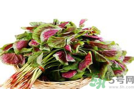 胃不好可以吃莧菜嗎？胃不好吃莧菜好嗎？