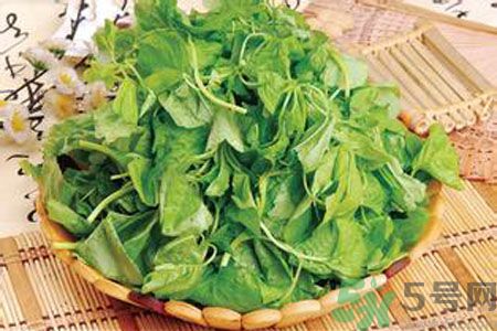 胃不好可以吃莧菜嗎？胃不好吃莧菜好嗎？