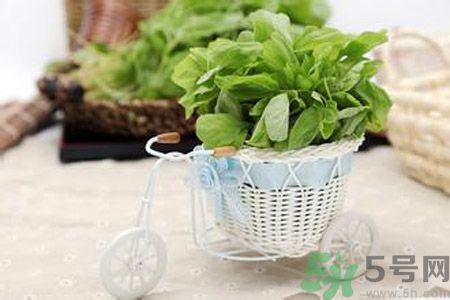 月經期間可以吃漢菜嗎？來月經可以吃漢菜嗎？