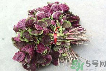 衣服上染上了莧菜汁怎么辦？衣服上的莧菜汁怎么洗掉？