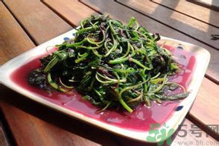 莧菜汁可以放多久？莧菜汁放多久會壞？