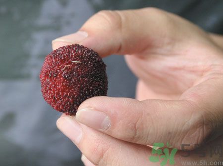 楊梅里面的蟲子能吃嗎？楊梅里面的蟲子吃了會怎么樣？