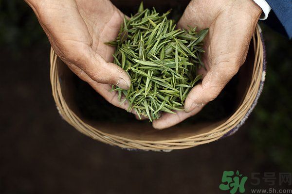 吃魚的時候能喝茶嗎？吃魚可以喝茶嗎？