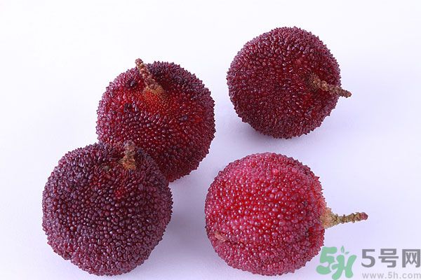 楊梅里面有小蟲怎么洗？楊梅里的蟲子怎么弄出來？