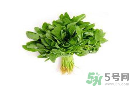 莧菜可以生吃嗎？莧菜生吃了會怎樣？