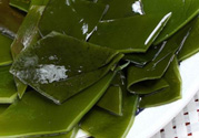 海帶是發物嗎?海帶是不是發物?