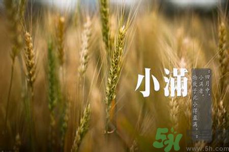 小滿名字的由來？小滿是什么意思？