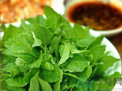 薄荷有什么功效？薄荷的攻效是什么？