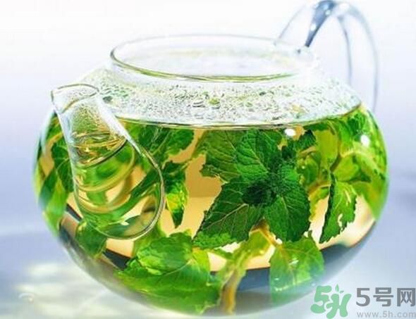 薄荷茶怎么泡好喝？薄荷茶的沖泡方法有哪些？