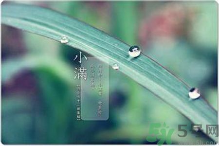 小滿容易得什么皮膚?。啃M得了皮膚病怎么辦？