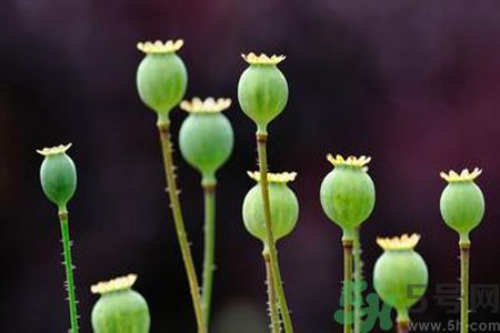 小滿做什么運(yùn)動(dòng)好？小滿運(yùn)動(dòng)要注意什么？