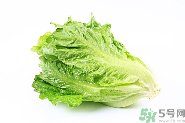 生菜在冰箱放久了能吃嗎？如何分辨生菜新不新鮮？